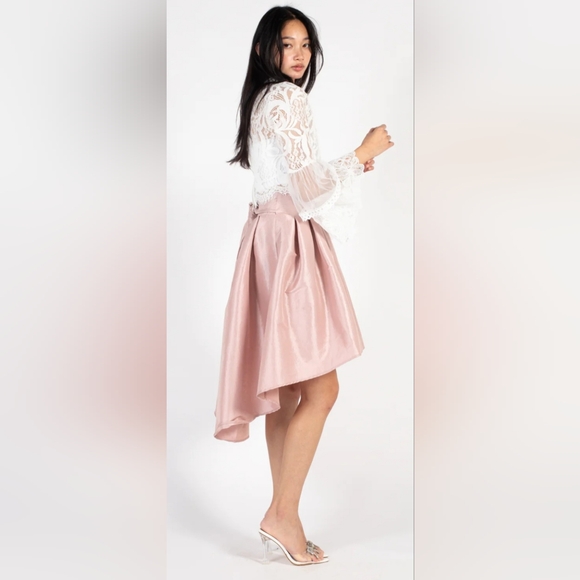 Honey Taffeta Skirt - Picture 15 of 16